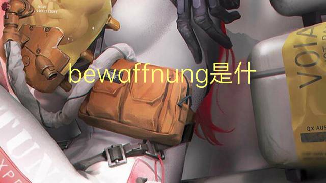 bewaffnung是什么意思 bewaffnung的翻译、读音、例句、中文解释