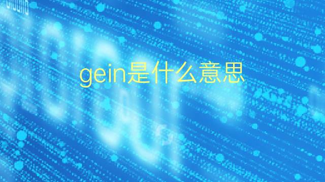 gein是什么意思 gein的翻译、读音、例句、中文解释