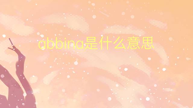 abbina是什么意思 abbina的翻译、读音、例句、中文解释