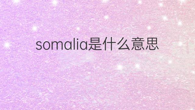 somalia是什么意思 somalia的翻译、读音、例句、中文解释