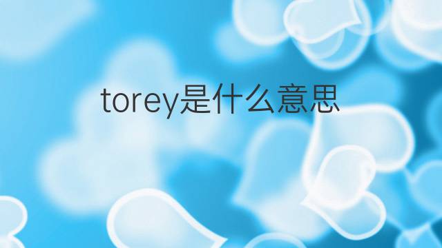 torey是什么意思 英文名torey的翻译、发音、来源