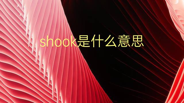 shook是什么意思 shook的翻译、读音、例句、中文解释