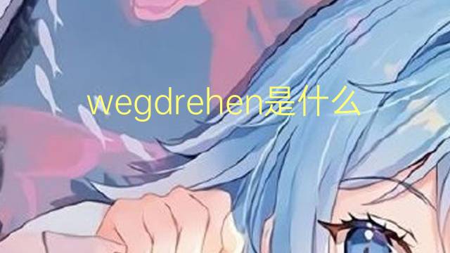 wegdrehen是什么意思 wegdrehen的翻译、读音、例句、中文解释