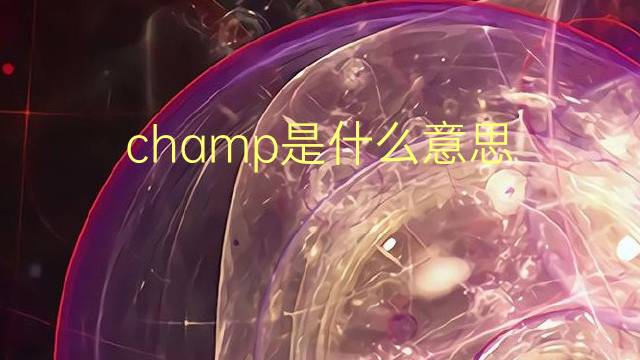 champ是什么意思 champ的翻译、读音、例句、中文解释