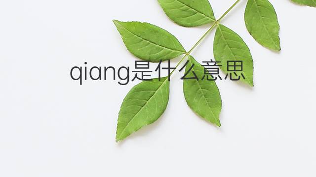 qiang是什么意思 qiang的翻译、读音、例句、中文解释