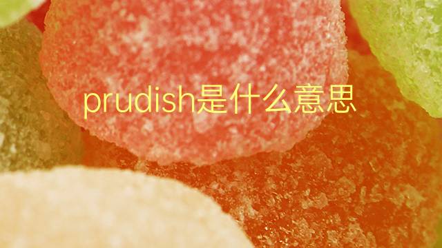 prudish是什么意思 prudish的翻译、读音、例句、中文解释