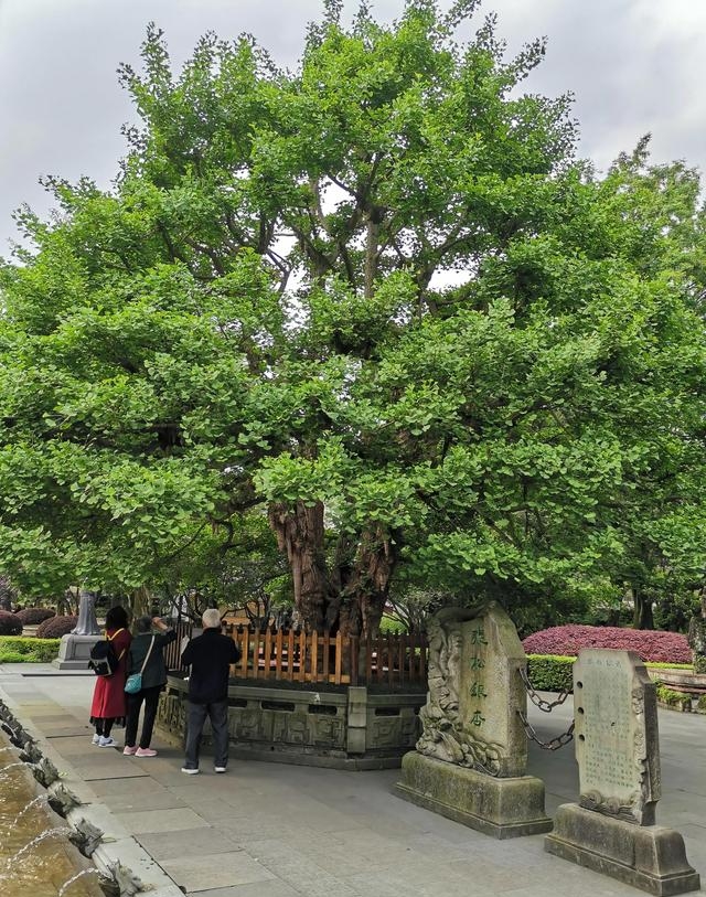 见开头的四字成语大全（见猎心喜词语解释）