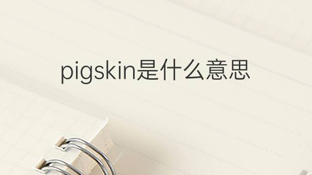 pigskin是什么意思 pigskin的翻译、读音、例句、中文解释