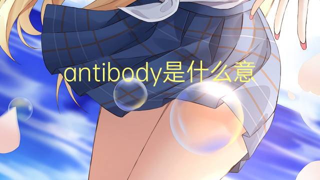 antibody是什么意思 antibody的翻译、读音、例句、中文解释