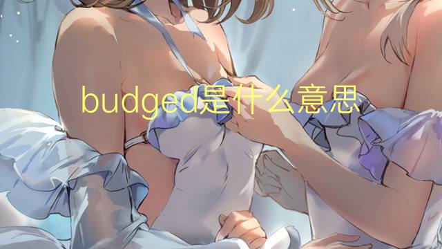 budged是什么意思 budged的翻译、读音、例句、中文解释