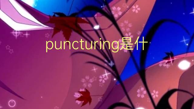 puncturing是什么意思 puncturing的翻译、读音、例句、中文解释