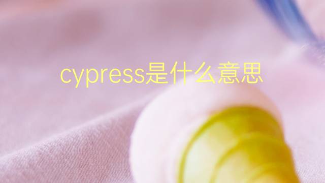 cypress是什么意思 cypress的翻译、读音、例句、中文解释