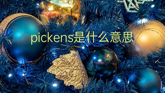 pickens是什么意思 pickens的翻译、读音、例句、中文解释