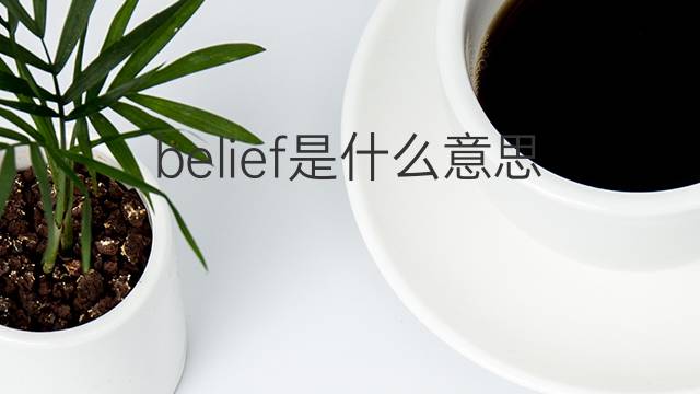 belief是什么意思 belief的翻译、读音、例句、中文解释