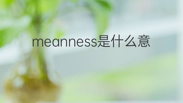 meanness是什么意思 meanness的翻译、读音、例句、中文解释