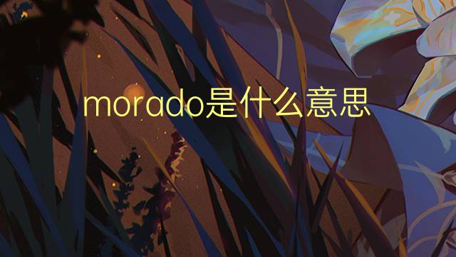 morado是什么意思 morado的翻译、读音、例句、中文解释