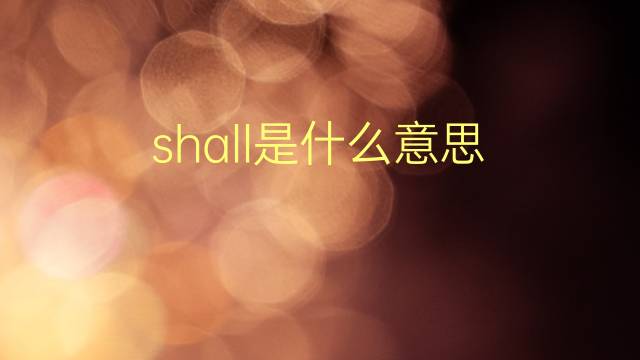 shall是什么意思 shall的翻译、读音、例句、中文解释