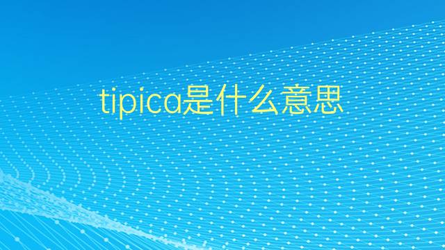 tipica是什么意思 tipica的翻译、读音、例句、中文解释