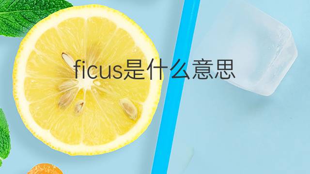 ficus是什么意思 ficus的翻译、读音、例句、中文解释