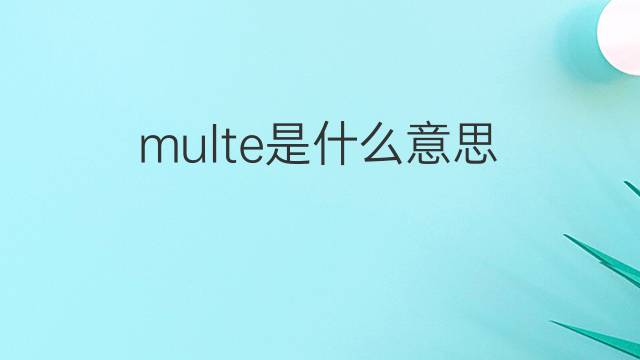 multe是什么意思 multe的翻译、读音、例句、中文解释