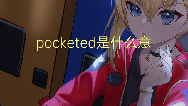 pocketed是什么意思 pocketed的翻译、读音、例句、中文解释