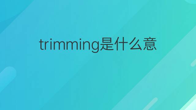 trimming是什么意思 trimming的翻译、读音、例句、中文解释