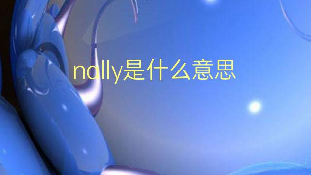 nally是什么意思 英文名nally的翻译、发音、来源