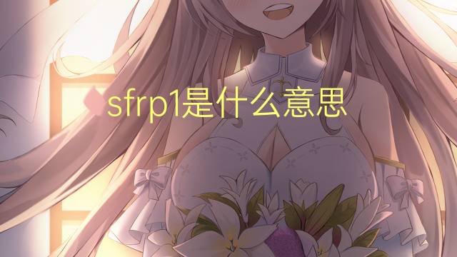 sfrp1是什么意思 sfrp1的翻译、读音、例句、中文解释