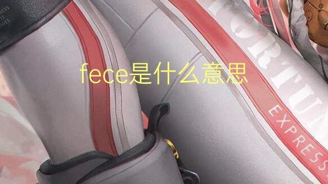 fece是什么意思 fece的翻译、读音、例句、中文解释