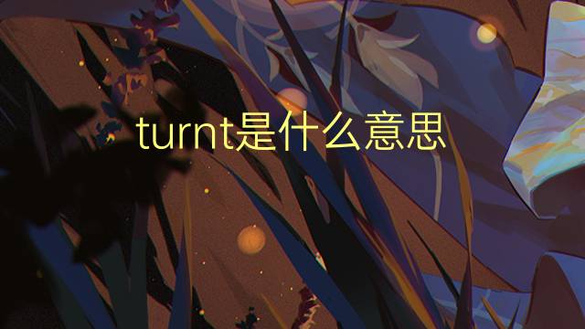 turnt是什么意思 turnt的翻译、读音、例句、中文解释