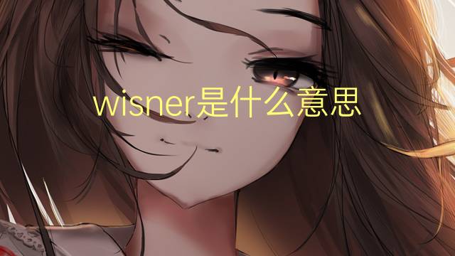 wisner是什么意思 英文名wisner的翻译、发音、来源