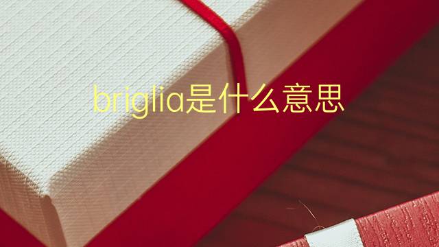 briglia是什么意思 briglia的翻译、读音、例句、中文解释