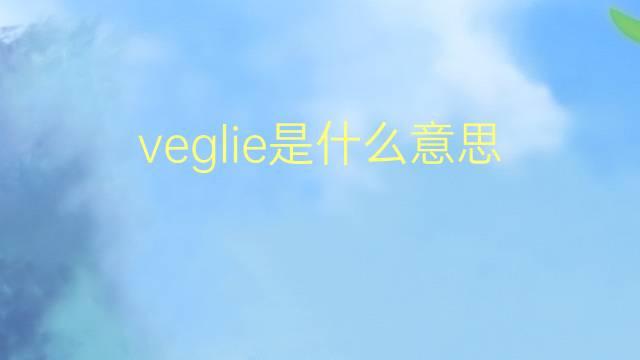 veglie是什么意思 veglie的翻译、读音、例句、中文解释