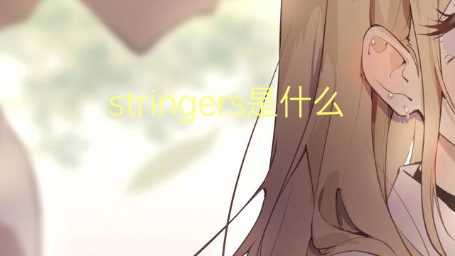 stringers是什么意思 stringers的翻译、读音、例句、中文解释