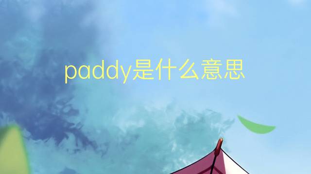 paddy是什么意思 paddy的翻译、读音、例句、中文解释