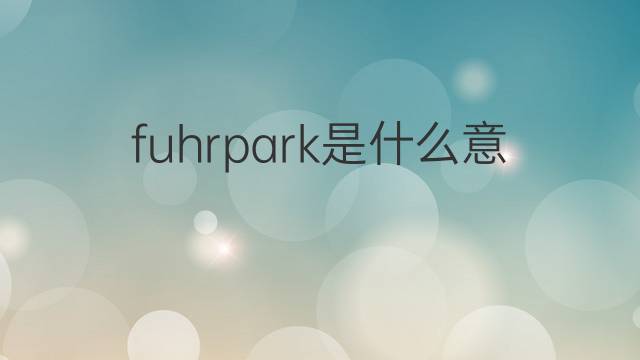 fuhrpark是什么意思 fuhrpark的翻译、读音、例句、中文解释