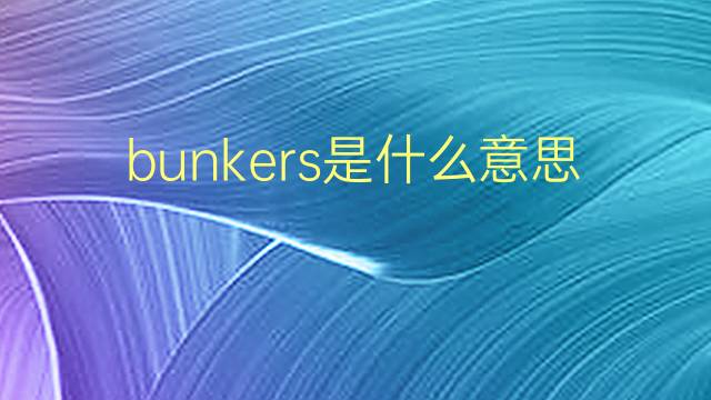 bunkers是什么意思 bunkers的翻译、读音、例句、中文解释