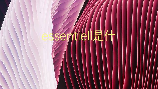 essentiell是什么意思 essentiell的翻译、读音、例句、中文解释