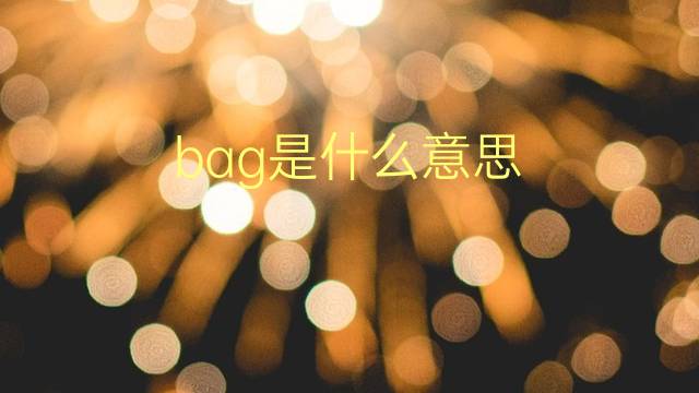 bag是什么意思 bag的翻译、读音、例句、中文解释