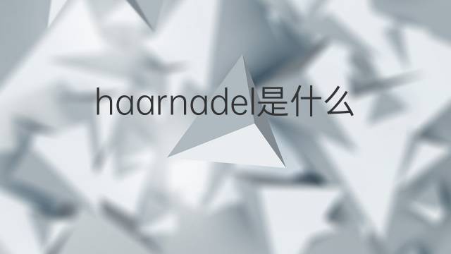 haarnadel是什么意思 haarnadel的翻译、读音、例句、中文解释