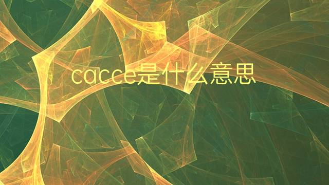 cacce是什么意思 cacce的翻译、读音、例句、中文解释