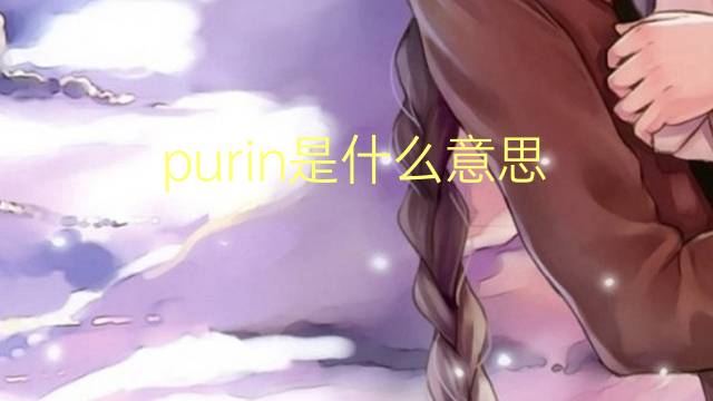 purin是什么意思 purin的翻译、读音、例句、中文解释