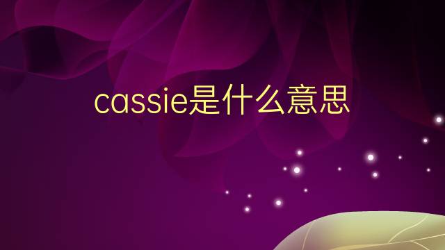 cassie是什么意思 cassie的翻译、读音、例句、中文解释