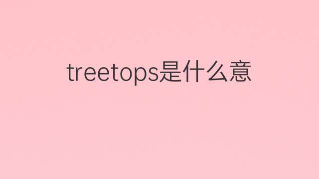 treetops是什么意思 treetops的翻译、读音、例句、中文解释