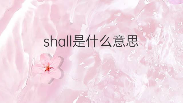 shall是什么意思 shall的翻译、读音、例句、中文解释