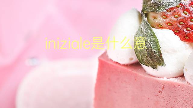 iniziale是什么意思 iniziale的翻译、读音、例句、中文解释