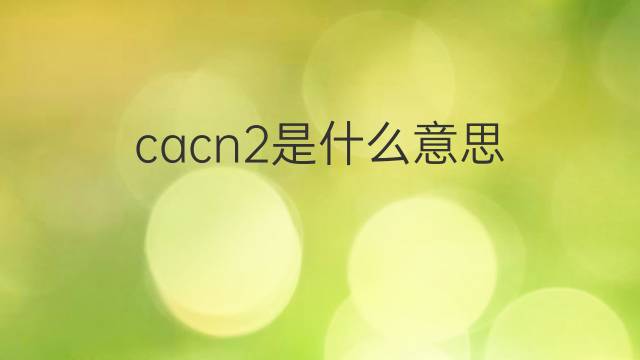 cacn2是什么意思 cacn2的翻译、读音、例句、中文解释