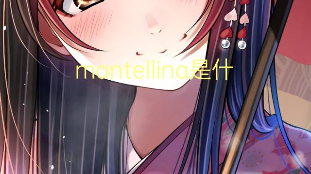 mantellina是什么意思 mantellina的翻译、读音、例句、中文解释