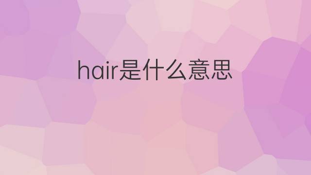 hair是什么意思 hair的翻译、读音、例句、中文解释