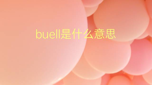 buell是什么意思 buell的翻译、读音、例句、中文解释